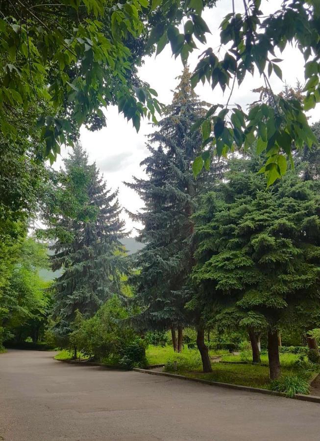 Vanadzor Armenia Health Resort & Hotel 외부 사진